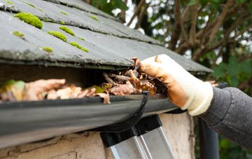 gutter cleaning West Buckland
