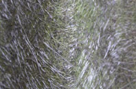 West Buckland fibreglass roof work